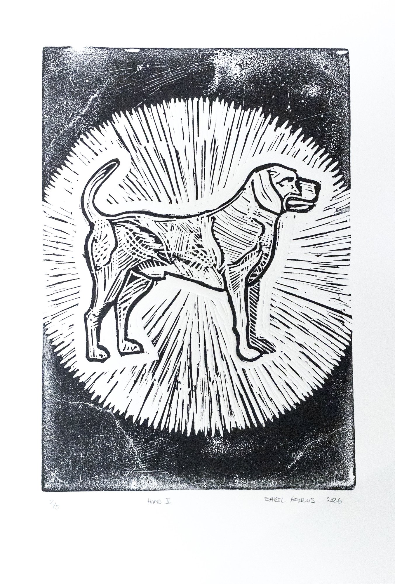 Hond 2
